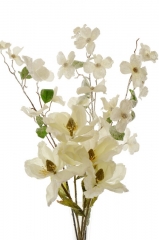 190 Novogodišnje cveće